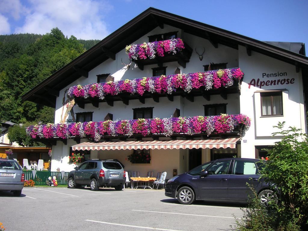 Pension Alpenrose Цел ам Зее Екстериор снимка